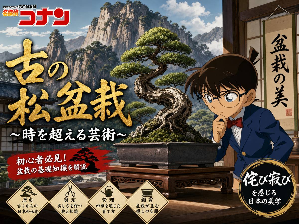 抖音揭秘盆栽视频